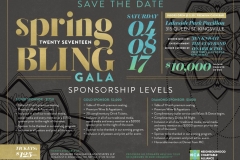 SpringBling2017_Poster